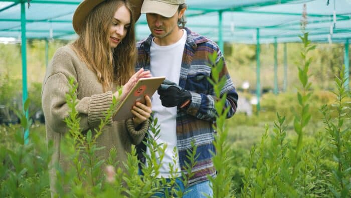 e-Rechnung verpflichtend für inländische B2B-Umsätze in Österreich?